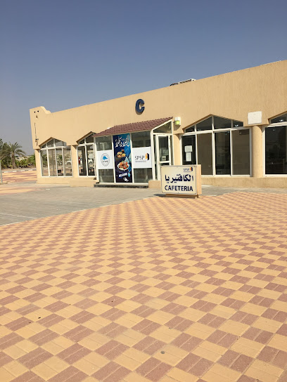 الموقع الفني SPSP - Saudi Arabia|Khafji 39245|8735