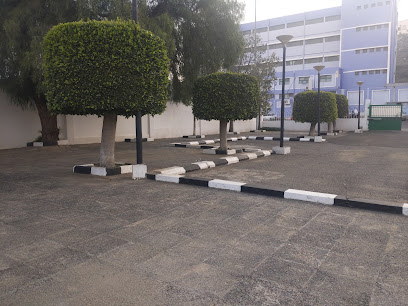 جمعية الطيران الشراعي السعودية شاهين - Abha 62521
