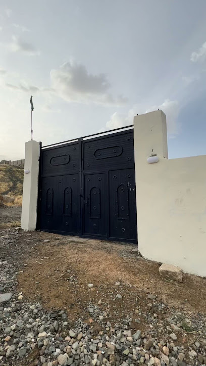 مربط الزايدية للخيل العربية الاصيلة - Mecca 24384