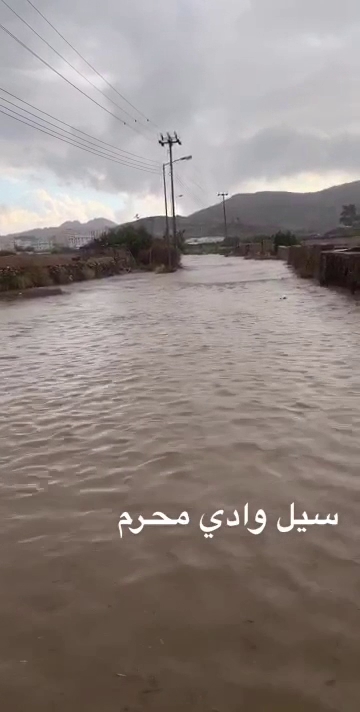 مدرسة الدار البيضاء للبنات - Saudi Arabia|Alhada 26581|986M+C6C