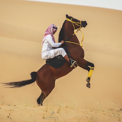 اسطبل الغفيص للخيول العربية الاصيلة - Saudi Arabia|Buraydah 52518|7W84+QPJ