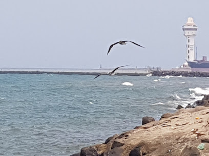 أم القطب - جازان - +966 50 731 2075