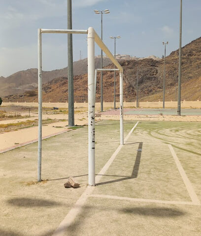 حقول النخيل - المدينة المنورة -