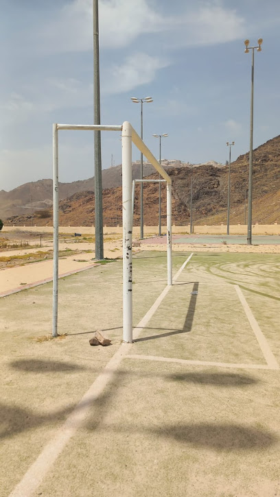 حقول النخيل - Saudi Arabia|42334،|4356، 6583، النخيل،