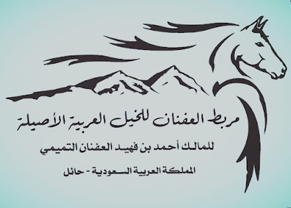 مربط العفنان - في تربية - +966 53 333 2442