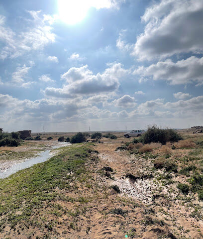 صلاصل بر - القوارة -