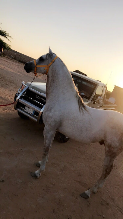 اسطبل العاصوف - Saudi Arabia|4686، الظهران 34731 6726،