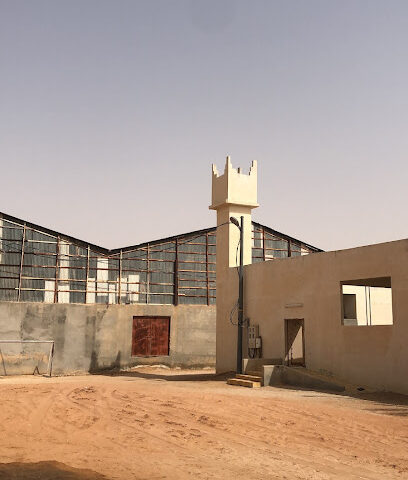 مزرعة ال طالب الدلم - الدلم - +966 53 004 7777