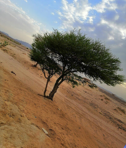 مدارس ديوان المعرفه الأهليه - نجران -