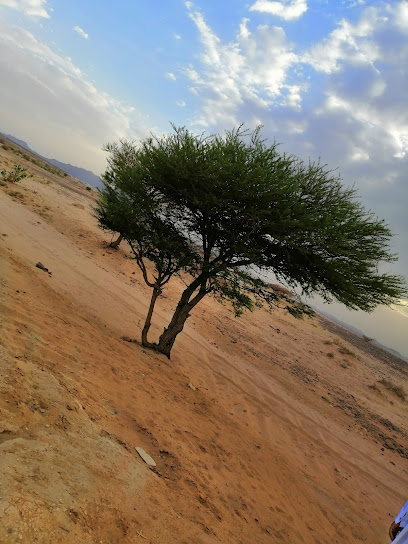مدارس ديوان المعرفه الأهليه - Saudi Arabia|Najran 66261|8890|2977