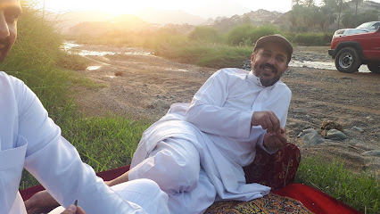 ملعب كرة قدم - السويد -